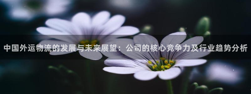 ,优游国际麻将胡了：中国外运物流的发