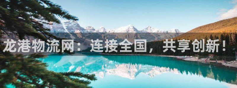 ,优游国际下载二维码怎么弄：龙港物流