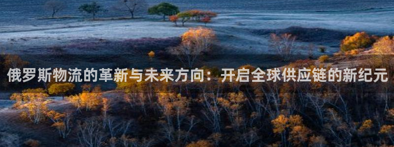 ,优游国际赌博被抓：俄罗斯物流的革新