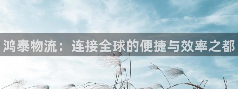 自行车,优游国际是什么意思：鸿泰物流