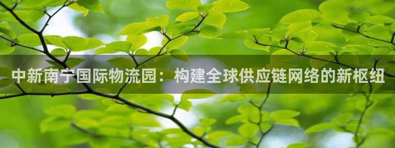 ,优游国际的平台：中新南宁国际物流园