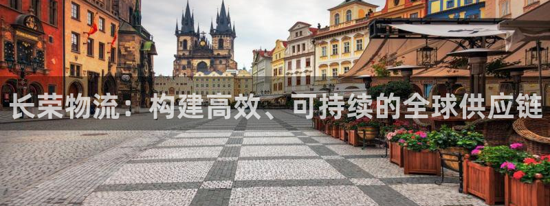 ,优游国际自行车图片：长荣物流：构建
