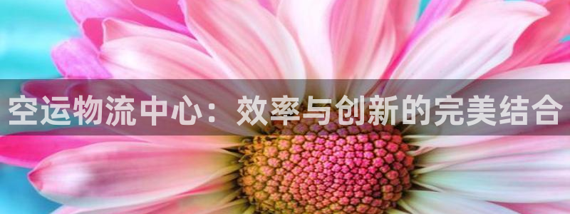 ,优游国际app赢了500万：空运物