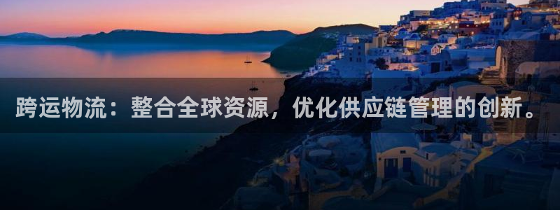 ,优游国际百度百科：跨运物流：整合全