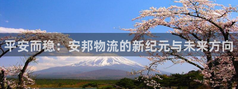 ,优游国际网站怎么注册：平安而稳：安