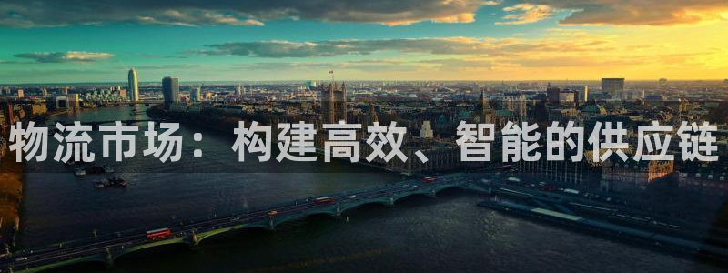 ,优游国际cn：物流市场：构建高效、