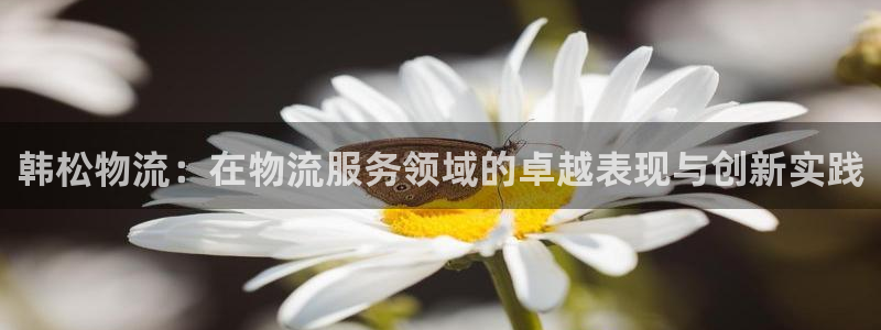 ,优游国际注册与教程：韩松物流：在物