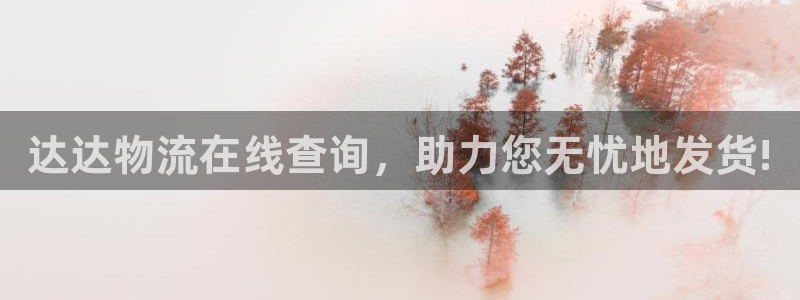 ,优游国际和南宫28什么关系：达达物
