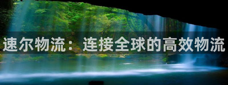 ,优游国际官网平台下载：速尔物流：连