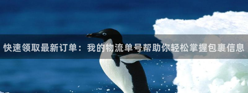 优游国际官网下载链接：快速领取最新订