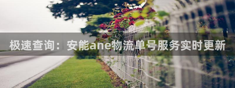 ,优游国际提现不到账：极速查询：安能