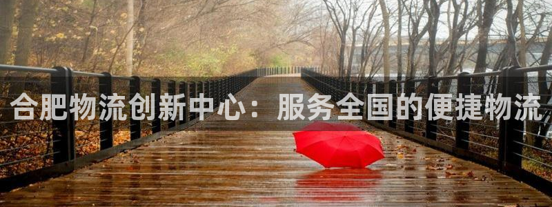 ,优游国际模拟器在线玩：合肥物流创新
