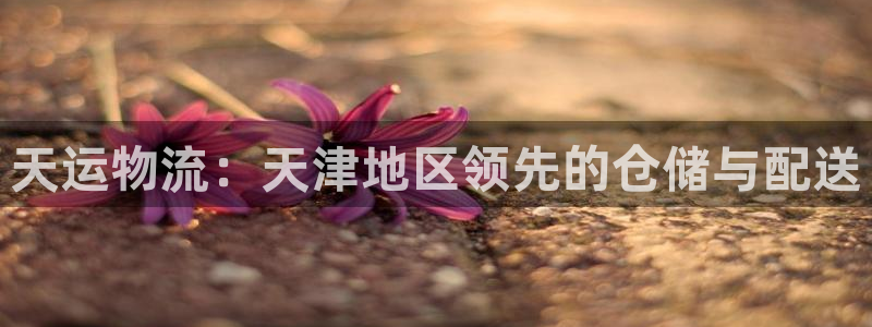 ,优游国际注册送：天运物流：天津地区领先的仓储与配送