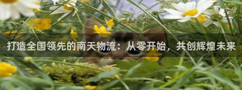 ,优游国际充值不到账什么原因：打造全