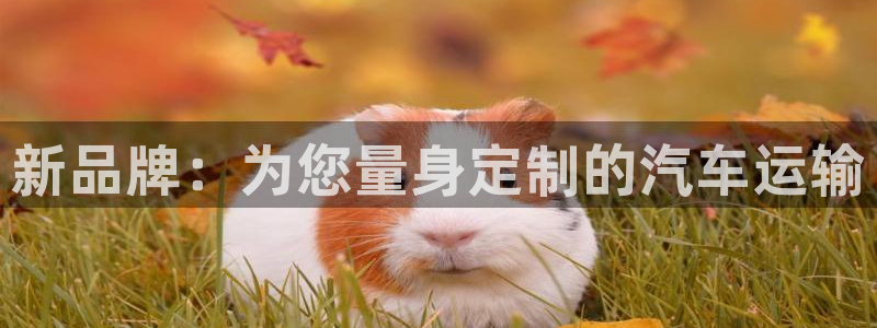 ,优游国际娱乐官网网页：新品牌：为您