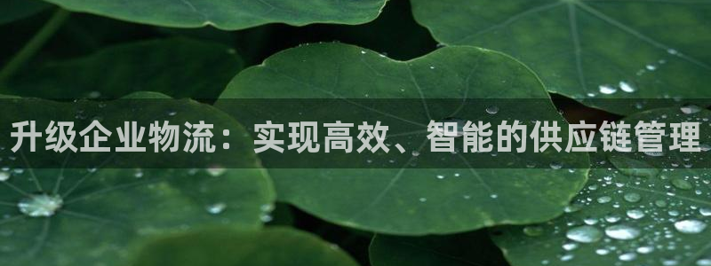 ,优游国际推广链接是多少钱一个：升级