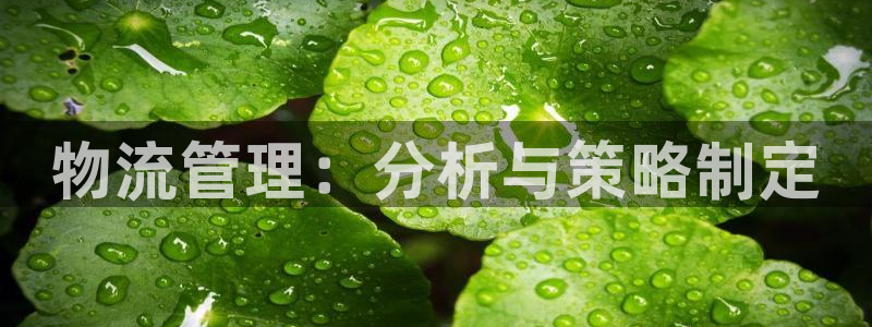 ,优游国际现在狂杀：物流管理：分析与