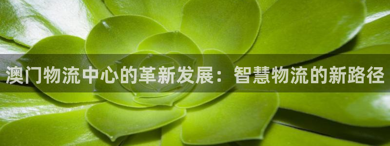 ,优游国际官网链接：澳门物流中心的革