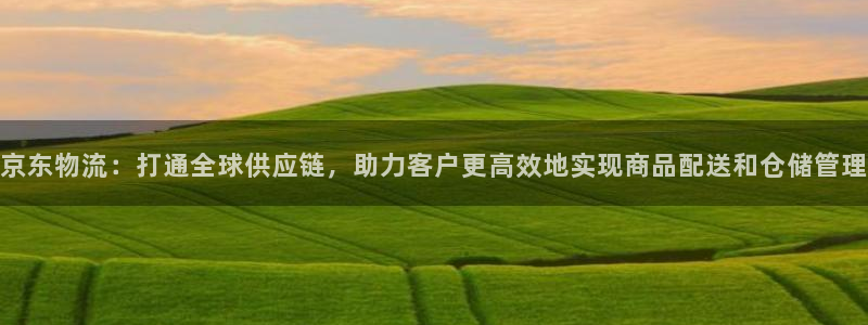 ,优游国际模拟器：京东物流：打通全球