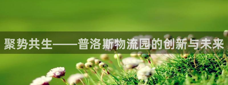 优游国际官网入口pc28