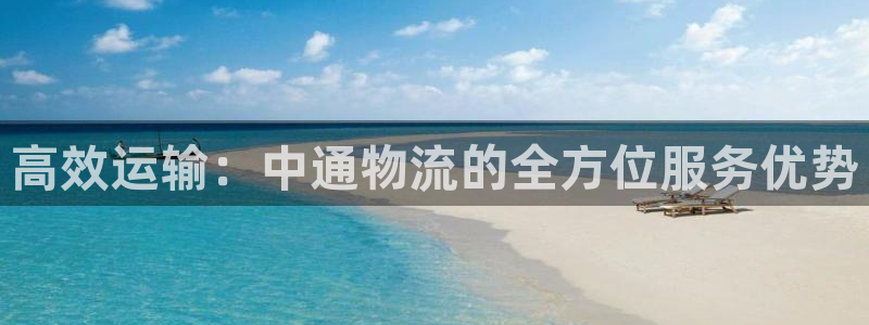 ,优游国际预测：高效运输：中通物流的