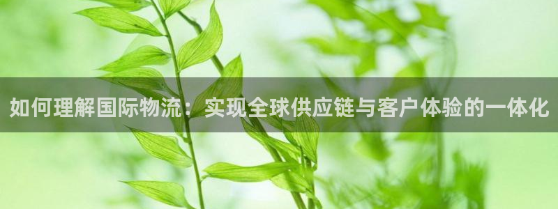 ,优游国际登录用户名登录不上：如何理
