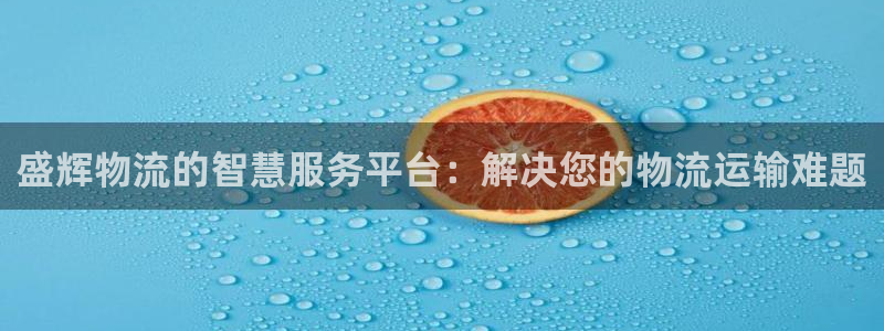 ,优游国际登录：盛辉物流的智慧服务平