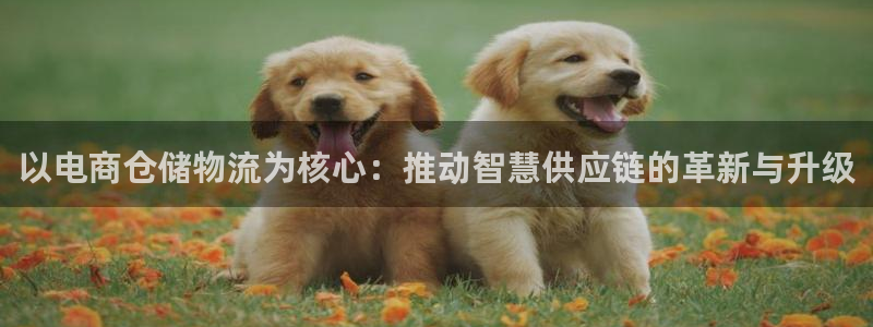 ,优游国际大神预测：以电商仓储物流为核心：推动智慧供应链的革