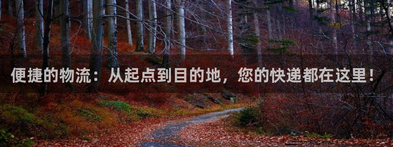 ,优游国际pc预测：便捷的物流：从起