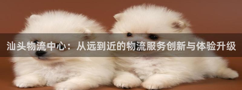 ,优游国际登录流程：汕头物流中心：从远到近的物流服务创新与体