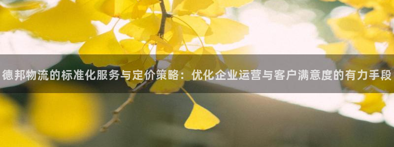 优游国际官网入口：德邦物流的标准化服务与定价策略：优化企业运