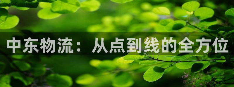 ,优游国际网站平台是多少:中东物流: