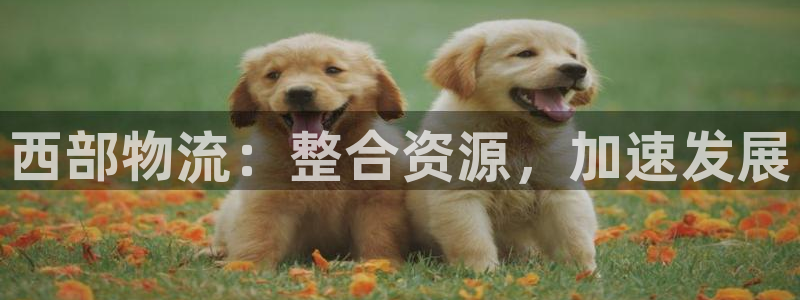 ,优游国际头像：西部物流：整合资源，