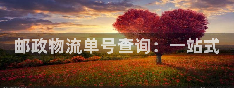 ,优游国际注册链接教程：邮政物流单号