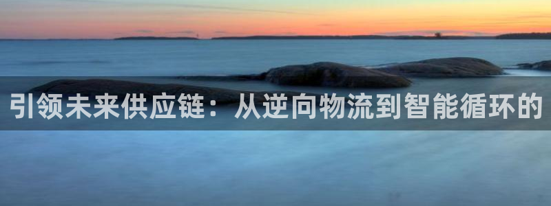 ,优游国际登录流程:引领未来供应链:
