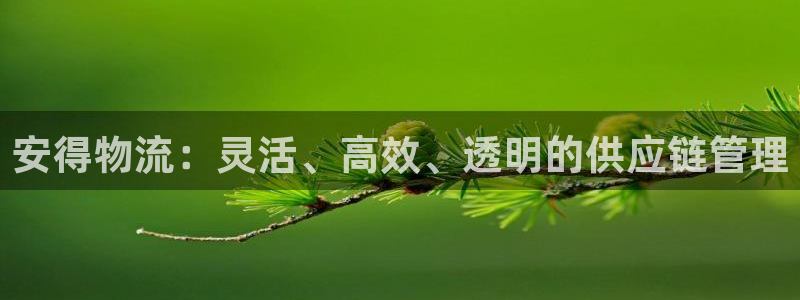 ,优游国际是啥：安得物流：灵活、高效