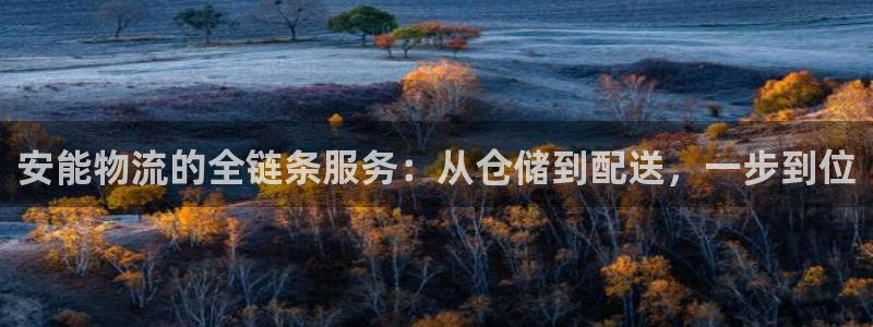 ,优游国际哪个最赚钱：安能物流的全链