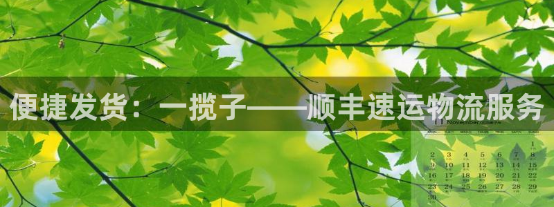 ,优游国际注册教程:便捷发货:一揽子