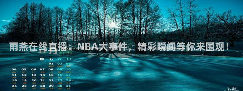 黑白nba直播在线直播：雨燕在线直播：NBA大事件，精彩瞬间等你来围观！