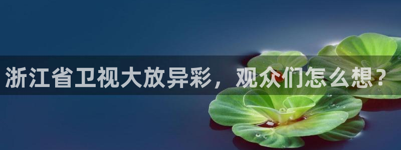 9球直播足球赛事直播黑白：浙江省卫视大放异彩，观众们怎么想？