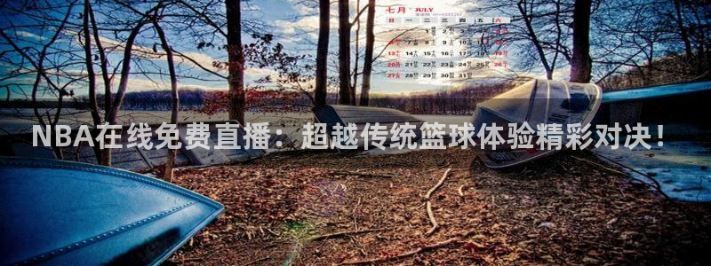 黑白体育在线直播免费观看：NBA在线免费直播：超越传统篮球体验精彩对决！