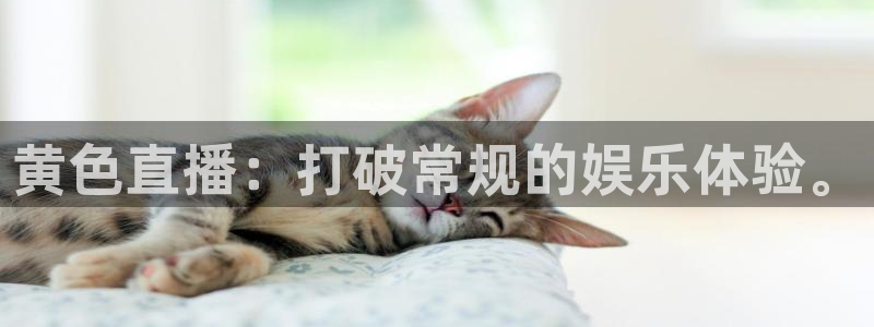 黑白体育nba在线直播：黄色直播：打破常规的娱乐体验。