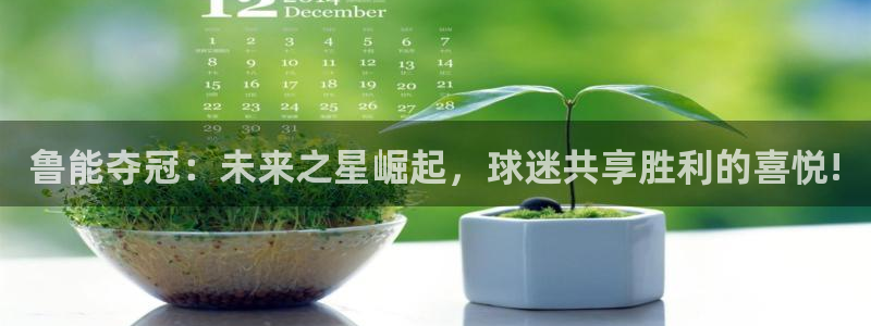 黑白体育比赛在线观看：鲁能夺冠：未来之星崛起，球迷共享胜利的喜悦!
