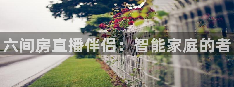 黑白体育直播网球：六间房直播伴侣：智能家庭的者