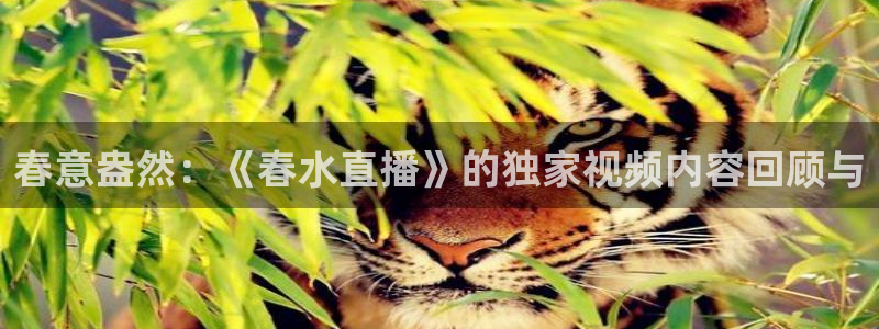 黑白体育在线直播免费观看：春意盎然：《春水直播》的独家视频内容回顾与