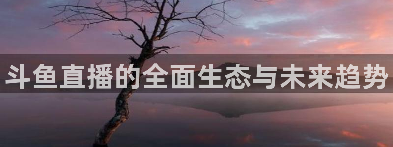 黑白直播nba免费观看篮球下载：斗鱼直播的全面生态与未来趋势