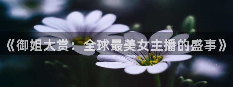 nba直播 黑白：《御姐大赏：全球最美女主播的盛事》