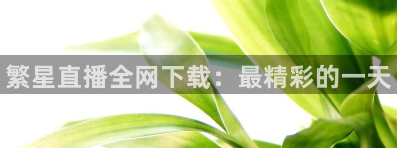 黑白直播体育app官网：繁星直播全网下载：最精彩的一天