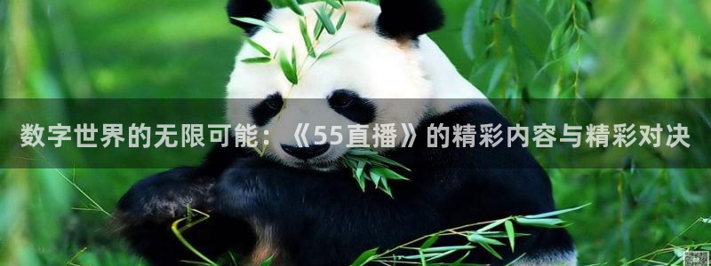 黑白体育在线直播免费观看体育直播：数字世界的无限可能：《55直播》的精彩内容与精彩对决