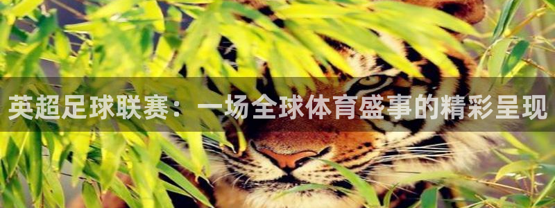 黑白视频nba直播：英超足球联赛：一场全球体育盛事的精彩呈现